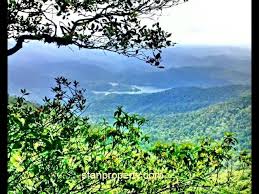 See more of abc camp, janda baik, pahang on facebook. Janda Baik Resort Bungalow Land With Stunning View Youtube