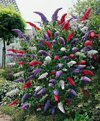You can use mulch around plants, bushes, and trees in your landscape. 60 Beuatiful Colorful Landscaping Ideas With Low Maintenance Flower Bushes Plants Trees To Plant Flowers