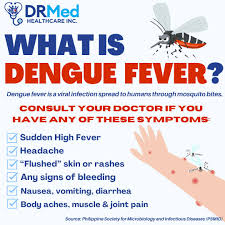 Image result for Dengue
