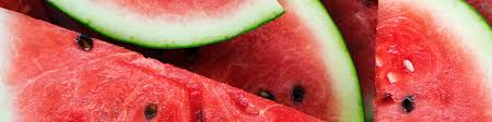 We did not find results for: Is Watermelon A Natural Viagra Ben S Natural Health
