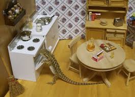 Barbie Enclosures Pamper Vs Damage Reptileapartment Com For instance, an ideal bearded dragon tank should encourage your reptile to.
