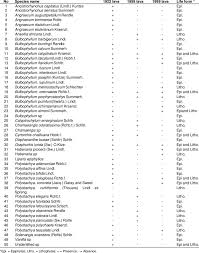 Image result for Bulbophyllum schimperianum