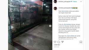 Kita ketahui ada 500 lebih petugas kpps yang meninggal dengan waktu yang relatif singkat, meski secara statistik kecil bukan berarti tidak bermakna, ujar aidul dalam diskusi publik membedah persoalan sebab kematian mendadak petugas pemilu dari. Viral Anjing Ditelantarkan Di Pet Shop Mall Akibat Psbb Jakarta