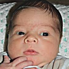 Dylan Thomas Wolf new arrival