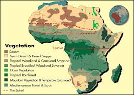 Equator through africa são tomé e príncipe, africa, gabon. Africa S Natural Vegetation