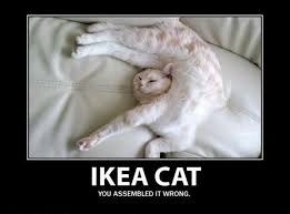 Funny Cats And Dogs Pics Funny Cat Photos Ikea Cat Funny Cats