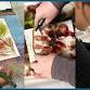 Workshop: Seaweed & Cynotypes event image