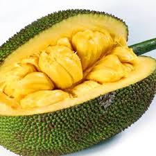 Sedangkan buah cempedak lebih jarang dan kebanyakan bisa ditemui di beberapa. Cempedak Vs Nangka Toluna
