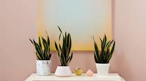 Inspirasi warna cat kamar tidur kombinasi yang menenangkan pilihan kombinasi warna cat kamar tidur coral pink yang feminin bagi anda yang. Berikut Ini Top Trend Warna Cat Rumah 2019