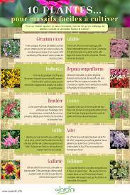 Arbustes, vivaces, grimpantes… découvrez une sélection de plantes qui aiment le soleil et supportent la sécheresse ! 10 Plantes Pour Massifs Faciles A Cultiver