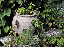Price's vary depending on the size and type. How To Plant A Strawberry Pot