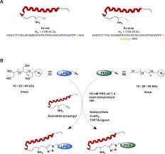 Image result for Exenatide