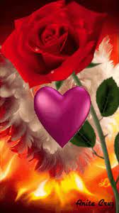 Pretty colorful flowers and sparkles. Love Flowers Gifs Tenor