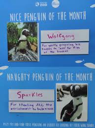 Toronto zoo plan to separate buddy and pedro because they are two male penguins that have buddy and pedro, two african penguins at the toronto zoo, are inseparable and show signs of. The Toronto Zoo Presenting The Nice And Naughty Penguin Of The Month November Edition Penguinperformancereview Facebook