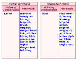 Contoh soal bahasa inggris ini semoga bermanfaat untuk tenaga pendidik yang mengampu pelajaran bahasa inggris. Jawaban Halaman 51 52 53 Dan 54 Buku Siswa Kelas 5 Tema 1 Revisi Terbaru Info Pendidikan Terbaru
