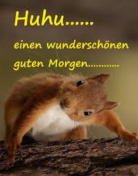 Guten Morgen In 2020 Guten Morgen Bilder Tiere Liebe Guten Morgen Grusse Lustige Guten Morgen Grusse