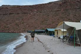 Hoy el lugar es el favorito de rv y campistas debido a que algunos sitios están a pocos centímetros de la arena. Baja Camp La Paz Baja California Opiniones Y Comentarios Campamento Tripadvisor