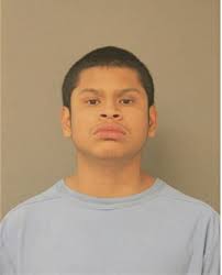 ᐅ Illinois Criminal Records 2009-2025