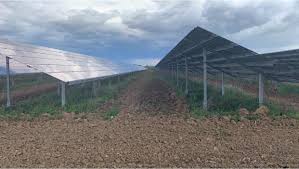 agrivoltaique d elevage ombriere agricole terrain agricole agriculture photovoltaique