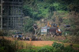 Now maharashtra chief minister uddhav thackeray has done the work of reviving the entertainment industry. Cm Uddhav Thackeray Halts Aarey Metro Car Shed Project Deccan Herald