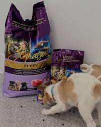 Profile para sa EarthWise Pet Supply & Grooming Liberty