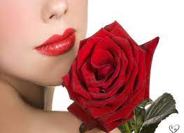 صور ورد احمر متحركة صور ورود احمر متحركة صور ورد متحرك ورود متحركة ورد متحرك موضوع متجدد الصفحة 2 منتدي beautiful red roses red rose flower lip wallpaper