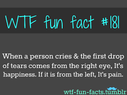 Pin By Dana Chason On Quotes Love Funny Facts Mind Blowing Wtf Fun Facts Fun Facts