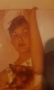 Does any-one know a lady named Alice Campbell of Proserpine, i think she  runs an animal refuge somewhere there, would like to contact her to help,  thanks.