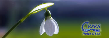 Hotel casino in sarata monteoru. Hotel Ceres SÄrata Monteoru Home Facebook