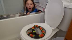 Image result for freaks, frogs, and snakes