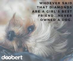 996 quotes have been tagged as dogs: Whoever Said That Diamonds Are A Girl S Best Friend Never Owned A Dog