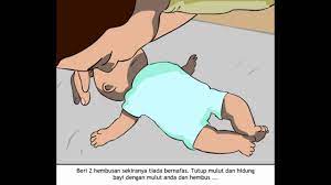 Foto stok gratis tentang baru lahir bayi hitam dan putih. Cpr Untuk Bayi Youtube