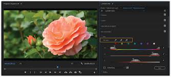 Color Grading Workflows In Adobe Premiere Pro Cc