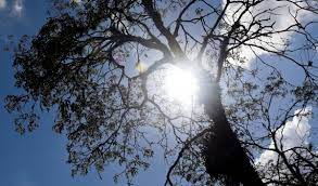 We did not find results for: Inverno Comeca Frio Em Curitiba Mas Temperatura Deve Subir Gradativamente A Partir De Terca Bem Parana