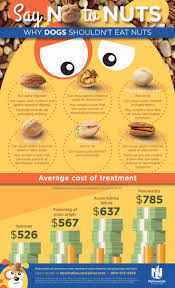 Are Nuts Toxic To Dogs Which Ones Should Be Kept Away From Your Canine Companion We Put Together A Printable Dog Infographic Pet Health Insurance Pet Health
