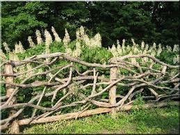 Aus Harthol Naturliche Rundholz Zaun Zulu Aus Harthol Naturliche Rundholz Zaun Zulu Naturzaun Garten Gartenbrucken