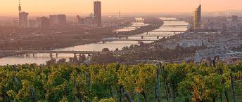 Please read the rules and reddiquette. Wein Aus Wien Gastro News Wien