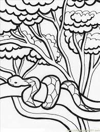 A coloring page set and a colored animal set include a jaguar, a poison dart frog, a sloth, a snake, a tapir, and a crafts by age. Rainforest Coloring Page Coloring Home