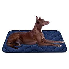 We did not find results for: 50 Tough Dog Beds Of 2020 Most Heavy Duty Or Don T Go Flat