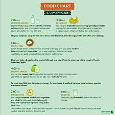 giving me food chart with timetable for my 8 month old twins