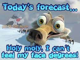 Funny winter quotes winter jokes quotes about winter nature quotes me quotes funny quotes beach quotes snoopy quotes. Winter Funny Quotes Images Quotes Drinkquote Com
