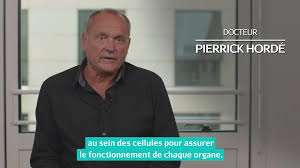 Le cercueil peut être enseveli sous terre, placé dans un caveau ou faire l'objet d'une incinération. Ce Qu Il Se Passe Dans Le Corps Quand On Meurt