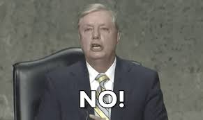 Lindsey graham memes & gifs. New Gif On Giphy Giphy Gif Lindsey