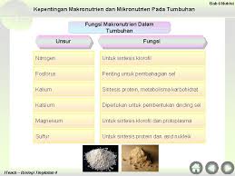 Bab 6 pembahagian sel ( 6.1 & 6.2 ). Chapter 6 Nutrition 6 1 Types Of Nutrition