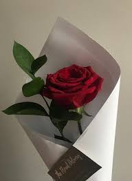 Single Rote Rose Valentinstag Jubilaum Liebe Blumen Die Blumenlieferung Gut New Ideas In 2020 Single Rose Bouquet Single Red Rose Flowers Bouquet Gift