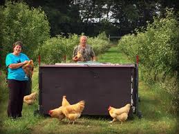 Irish Acres Farm, Market & GlampGround