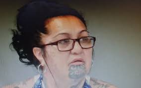 Abuse in Care inquiry: What happened at Moerangi Treks