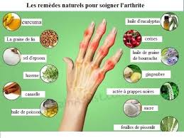 Epingle Sur Recettes A Cuisiner