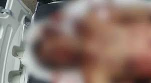 A morte de cleonice refletiu a crueldade de lázaro barbosa de sousa, 32. Kq9hynkephimam