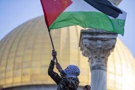 In 7 (77.78%) matches played at home was total goals (team and opponent) over 1.5 goals. Toda A Solidariedade Ao Povo Palestino Monitor Do Oriente